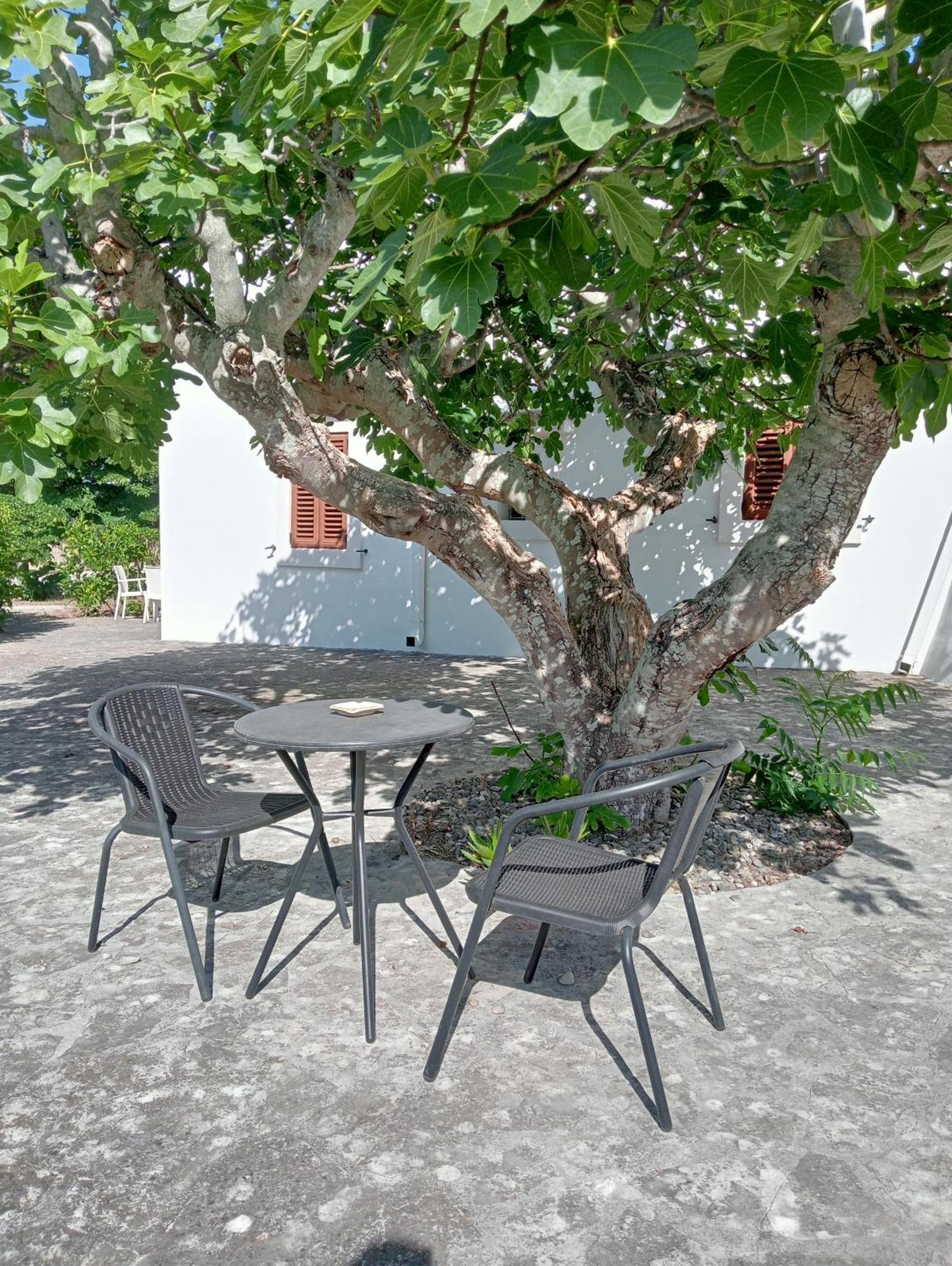 B&B Villa Rosanna Fasano Exteriér fotografie